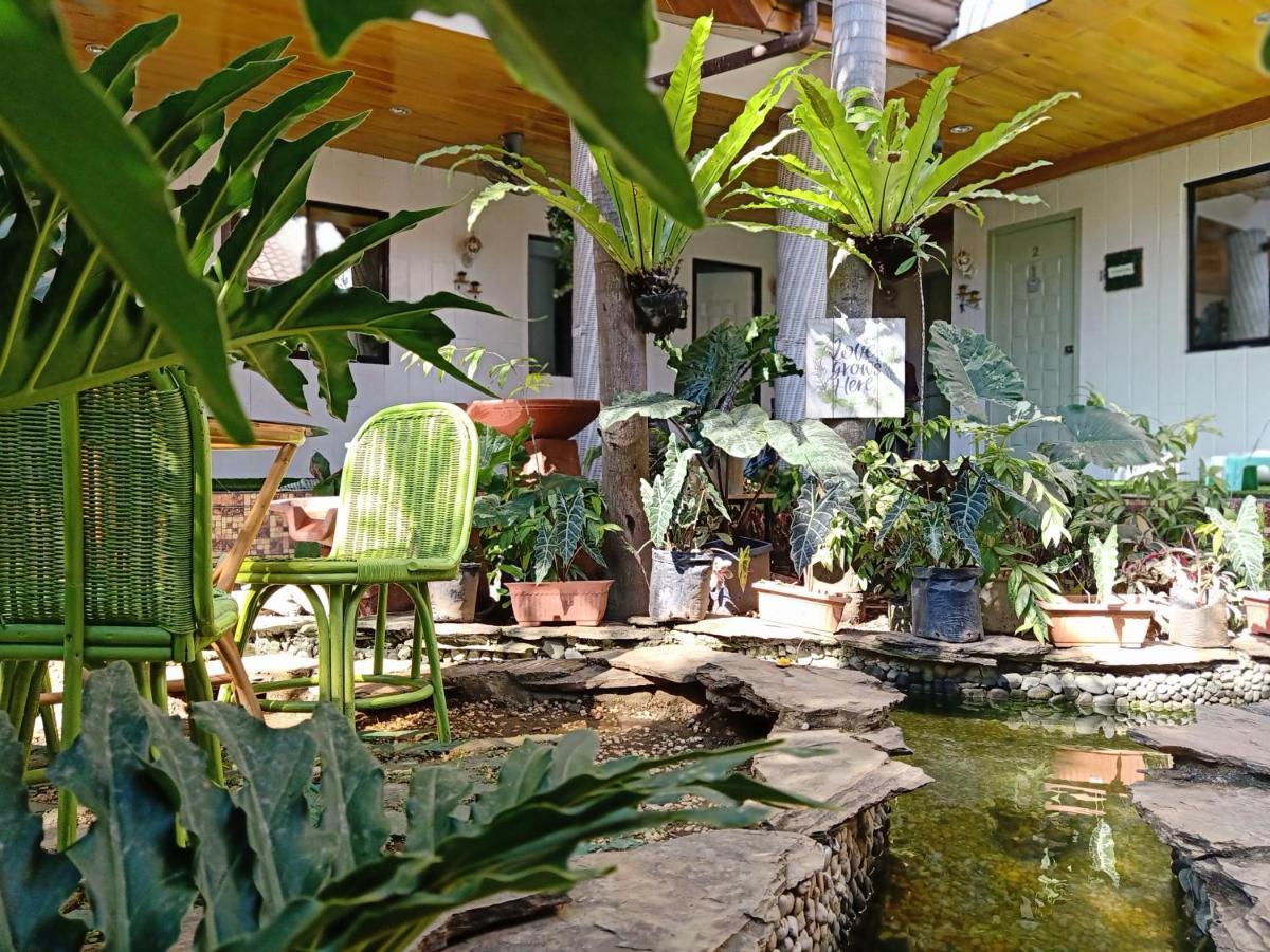Infinite Green Pension Puerto Princesa Bagian luar foto