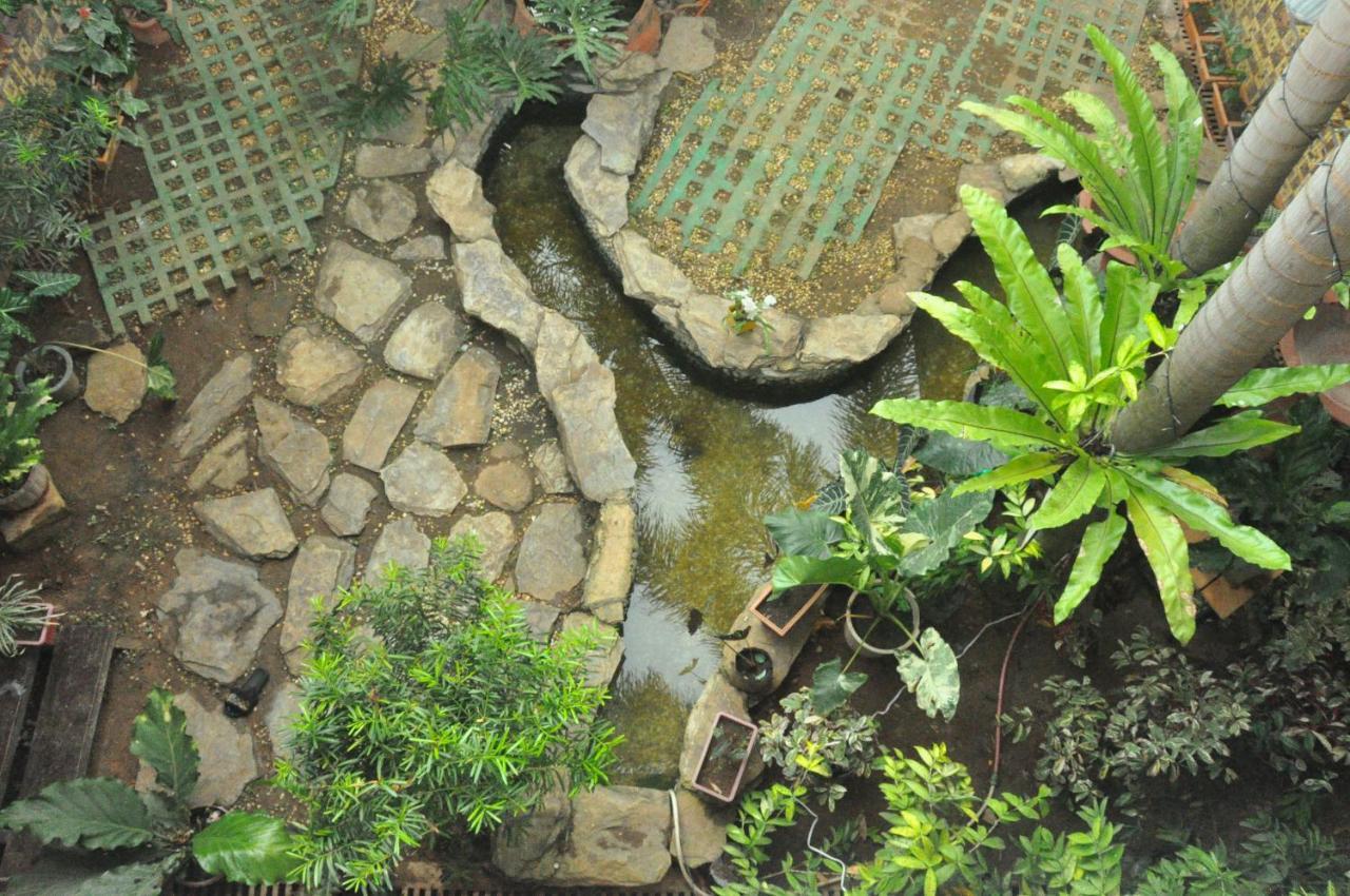 Infinite Green Pension Puerto Princesa Bagian luar foto