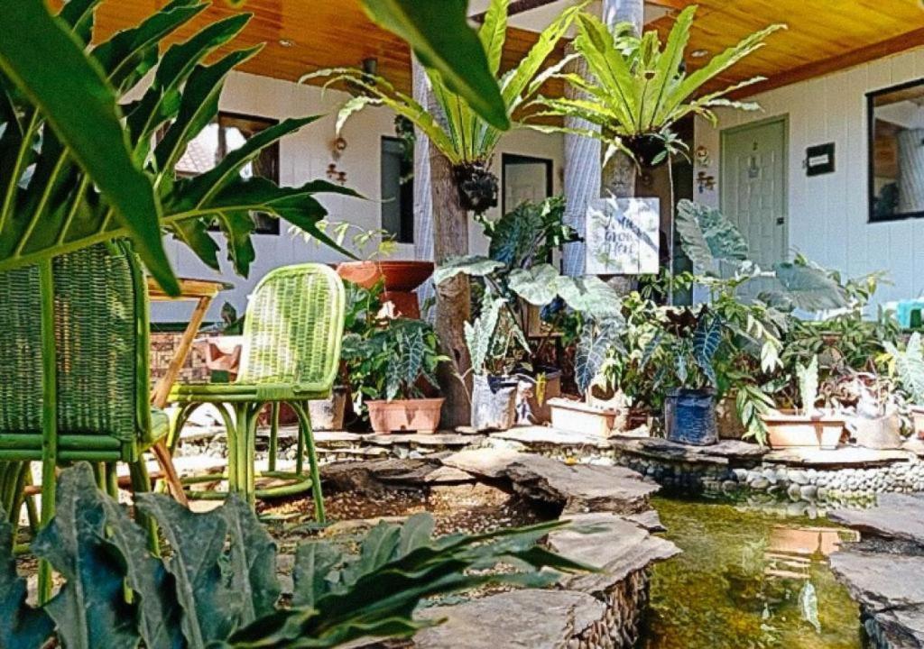 Infinite Green Pension Puerto Princesa Bagian luar foto